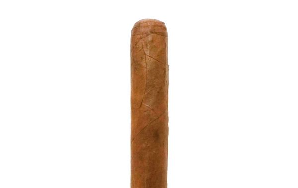Corona