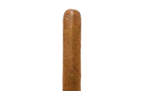 Robusto Extra