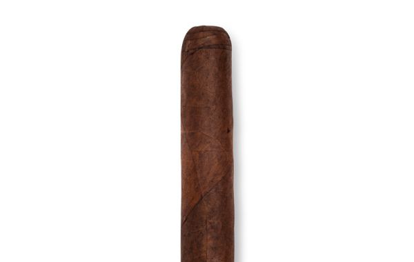 Robusto