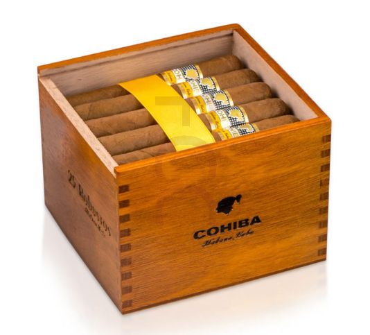 【日本製】 Cohiba Robusto パンツ